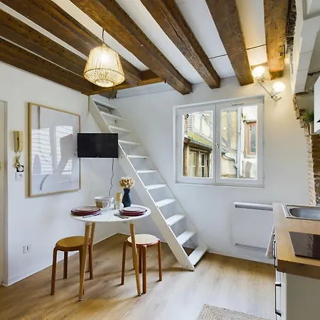 Le Nid Troyen - Centre Apartment